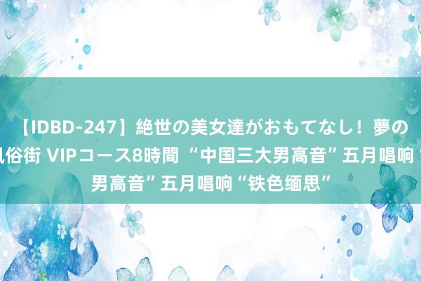 【IDBD-247】絶世の美女達がおもてなし！夢の桃源郷 IP風俗街 VIPコース8時間 “中国三大男高音”五月唱响“铁色缅思”