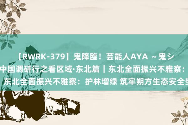 【RWRK-379】鬼降臨！芸能人AYA ～鬼シリーズ全制覇！～ 新期间中国调研行之看区域·东北篇｜东北全面振兴不雅察：护林增绿 筑牢朔方生态安全樊篱