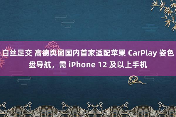 白丝足交 高德舆图国内首家适配苹果 CarPlay 姿色盘导航，需 iPhone 12 及以上手机