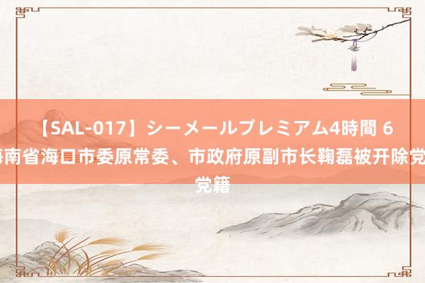 【SAL-017】シーメールプレミアム4時間 6 海南省海口市委原常委、市政府原副市长鞠磊被开除党籍