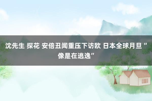 沈先生 探花 安倍丑闻重压下访欧 日本全球月旦“像是在逃逸”