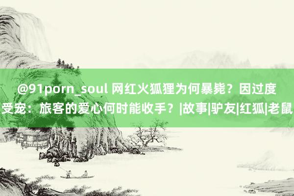 @91porn_soul 网红火狐狸为何暴毙？因过度受宠：旅客的爱心何时能收手？|故事|驴友|红狐|老鼠