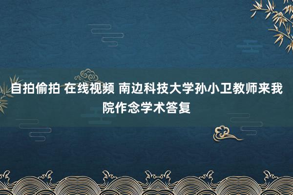 自拍偷拍 在线视频 南边科技大学孙小卫教师来我院作念学术答复