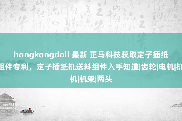 hongkongdoll 最新 正马科技获取定子插纸机送料组件专利，定子插纸机送料组件入手知道|齿轮|电机|机架|两头