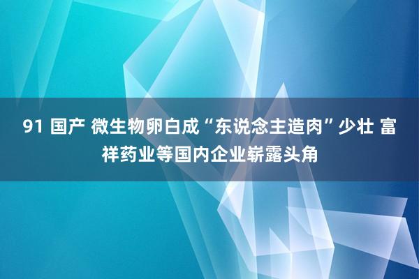 91 国产 微生物卵白成“东说念主造肉”少壮 富祥药业等国内企业崭露头角