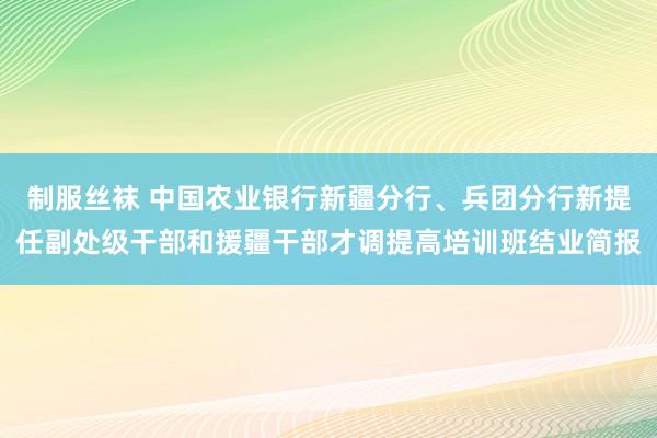 制服丝袜 中国农业银行新疆分行、兵团分行新提任副处级干部和援疆干部才调提高培训班结业简报