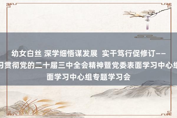 幼女白丝 深学细悟谋发展  实干笃行促修订——学校召开学习贯彻党的二十届三中全会精神暨党委表面学习中心组专题学习会